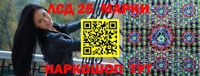 стаф Ставрополь